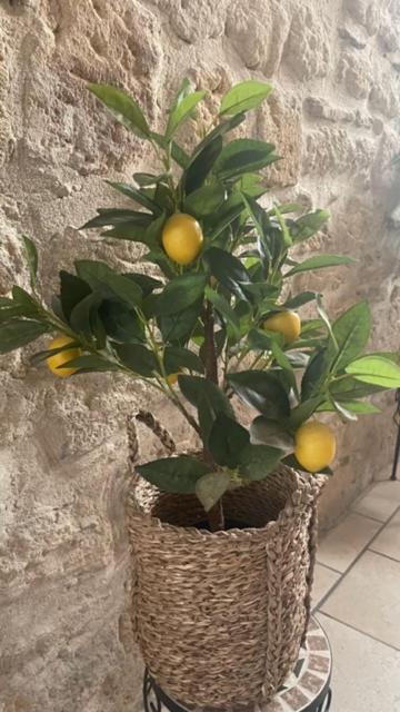 L'Isle Διαμέρισμα Beaucaire  Εξωτερικό φωτογραφία